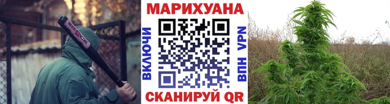 Купить  Калининск  Каннабис конопля 
